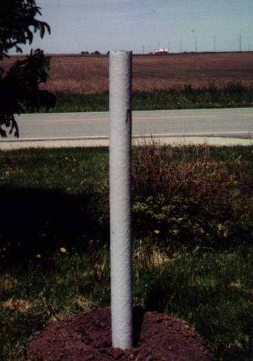 White post image